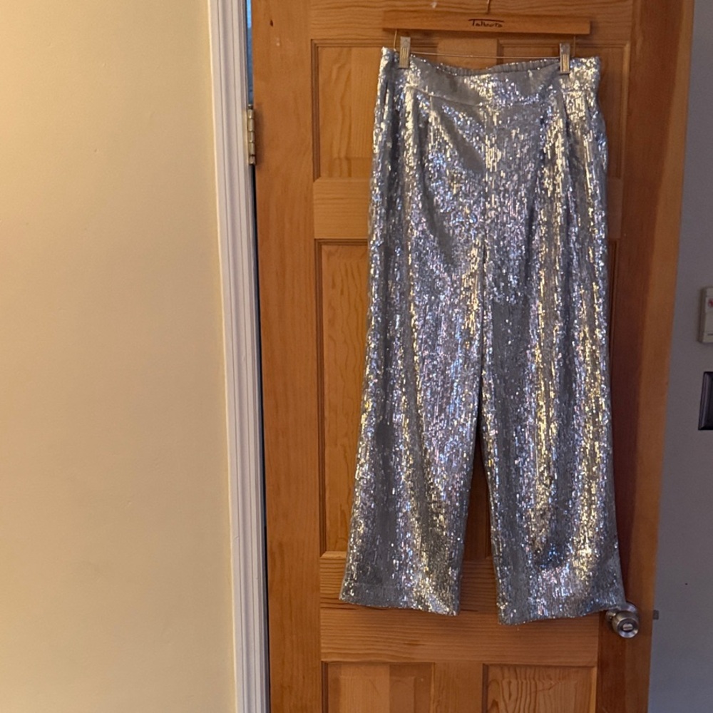 Anthropologie Silver Sequin Wide-Leg Cropped Pants Sz. Medium NWT